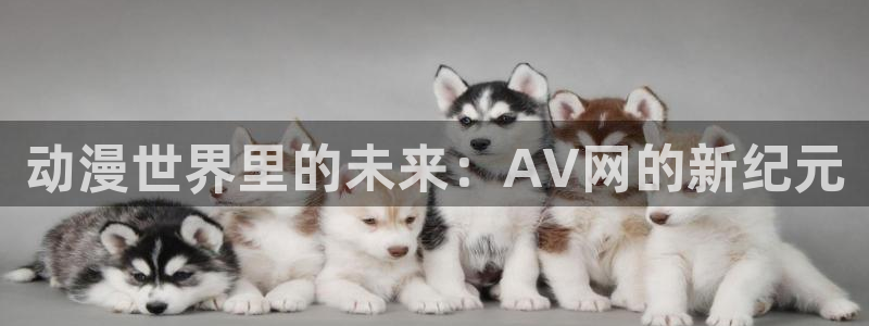 动漫天堂软件