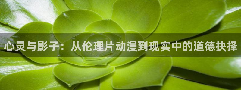 动漫天堂免费版