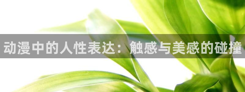 禁漫动漫天堂