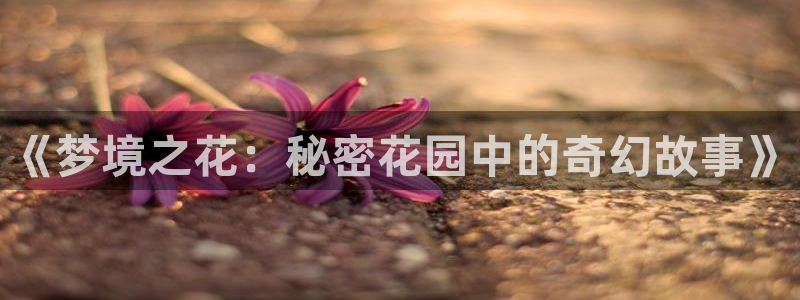 动漫天堂91