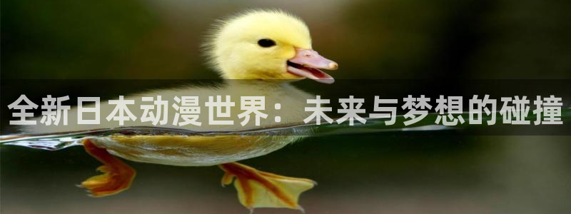 18动漫天堂