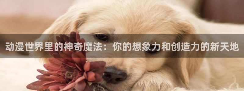 亚洲动漫天堂