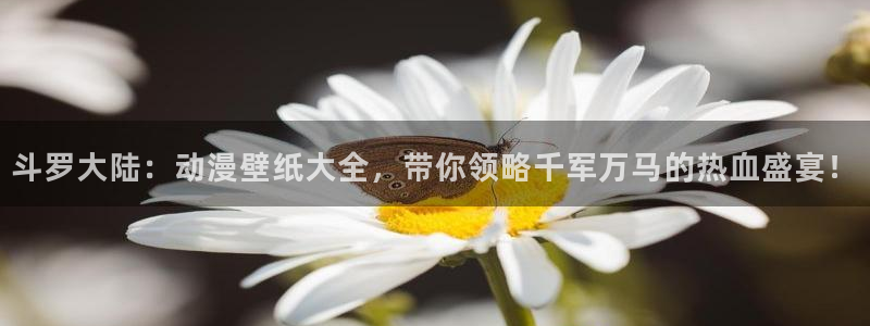 同人动漫天堂