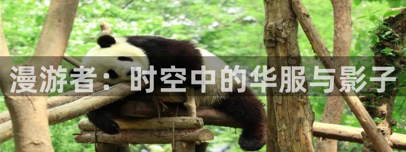 动漫天堂cc