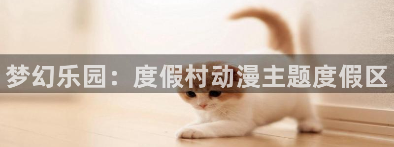 动漫天堂软件