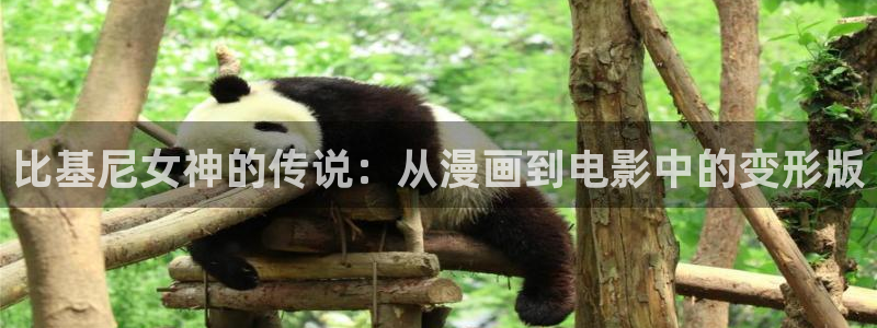 cos动漫天堂官网下载
