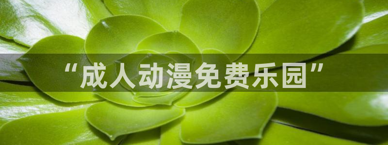 动漫天堂下载最新版