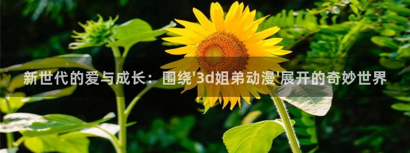 h动漫天堂