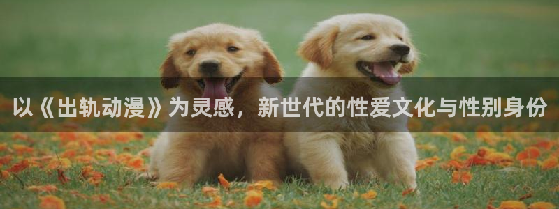 动漫天堂91：以《出轨动漫》为灵感，新世代的性爱文化与性别身份