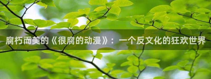 动漫天堂在线：腐朽而美的《很腐的动漫》：一个反文化的狂欢世界