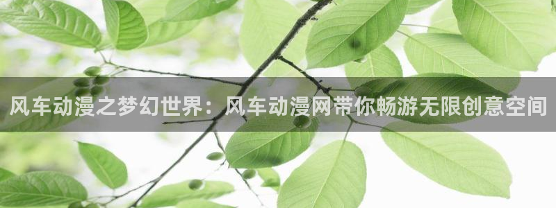 18禁动漫天堂：风车动漫之梦幻世界：风车动漫网带你畅游无限创意空间