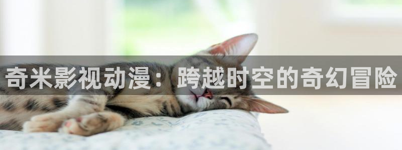 动漫天堂免费：奇米影视动漫：跨越时空的奇幻冒险