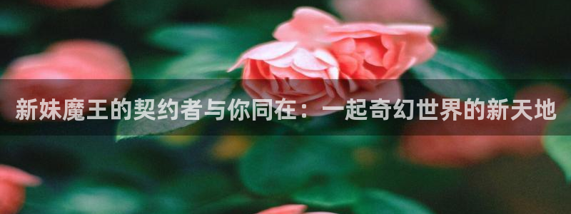 动漫天堂总站：新妹魔王的契约者与你同在：一起奇幻世界的新天地