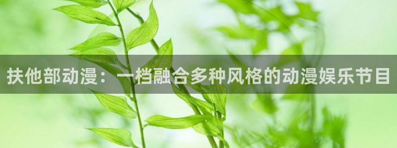 动漫天堂岛：扶他部动漫：一档融合多种风格的动漫娱乐节目