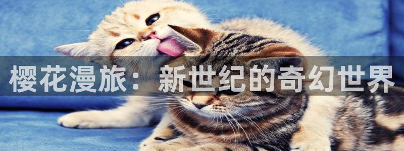 动漫天堂下载安装最新版：樱花漫旅：新世纪的奇幻世界