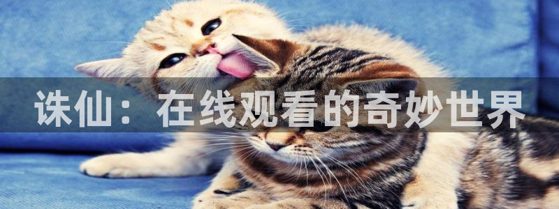 动漫天堂官网：诛仙：在线观看的奇妙世界