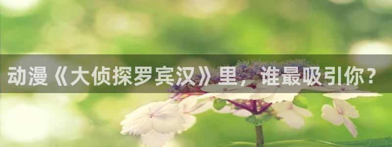 动漫天堂：动漫《大侦探罗宾汉》里，谁最吸引你？