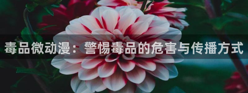 免费a漫动漫天堂.：毒品微动漫：警惕毒品的危害与传播方式