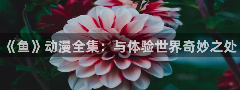 动漫天堂下载：《鱼》动漫全集：与体验世界奇妙之处