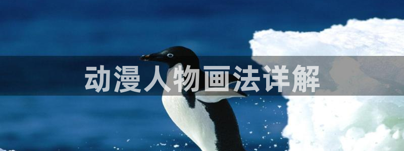 免费a漫动漫天堂.：动漫人物画法详解