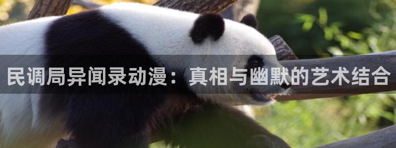 动漫天堂从哪下载安装：民调局异闻录动漫：真相与幽默的艺术结合