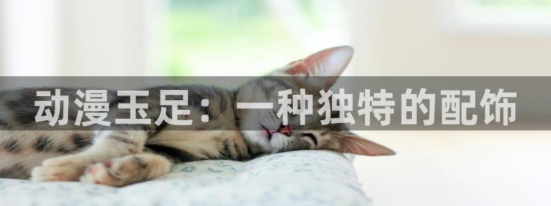 动漫天堂免费版：动漫玉足：一种独特的配饰