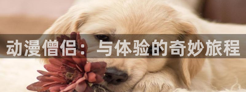 禁漫动漫天堂：动漫僧侣：与体验的奇妙旅程