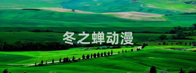 黄动漫天堂：冬之蝉动漫