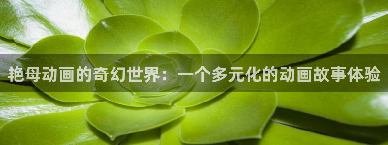 动漫天堂电影：艳母动画的奇幻世界：一个多元化的动画故事体验
