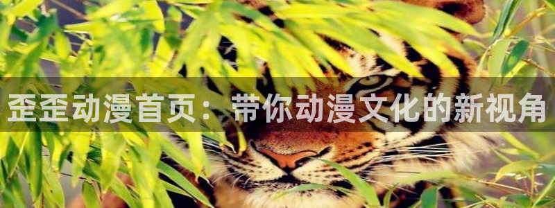 动漫天堂在线看：歪歪动漫首页：带你动漫文化的新视角
