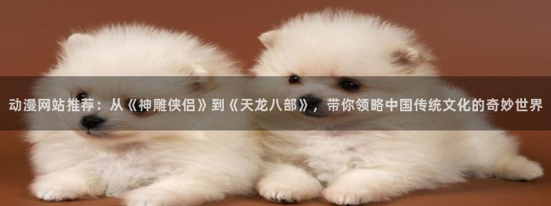 动漫天堂在线免费观看：动漫网站推荐：从《神雕侠侣》到《天龙八部》，带你领略中国传统文化的奇妙世界