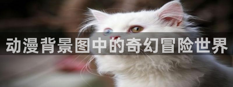 av动漫天堂网