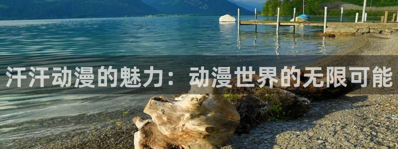 禁动漫天堂：汗汗动漫的魅力：动漫世界的无限可能