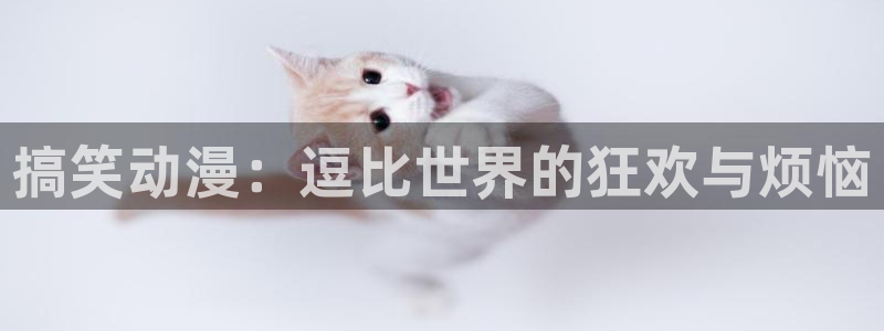 动漫天堂免费版：搞笑动漫：逗比世界的狂欢与烦恼