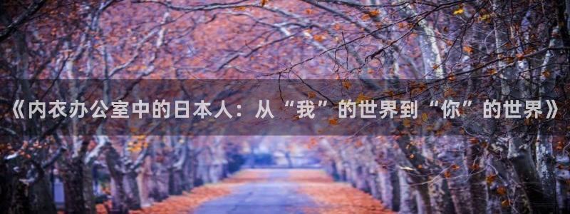 动漫天堂在线看：《内衣办公室中的日本人：从“我”的世界到“你”的世界》