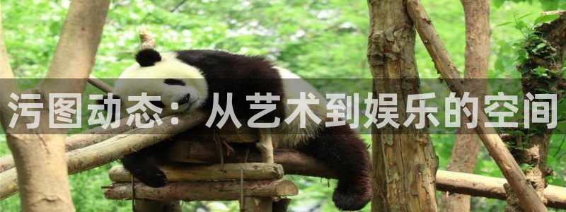 成人动漫天堂：污图动态：从艺术到娱乐的空间