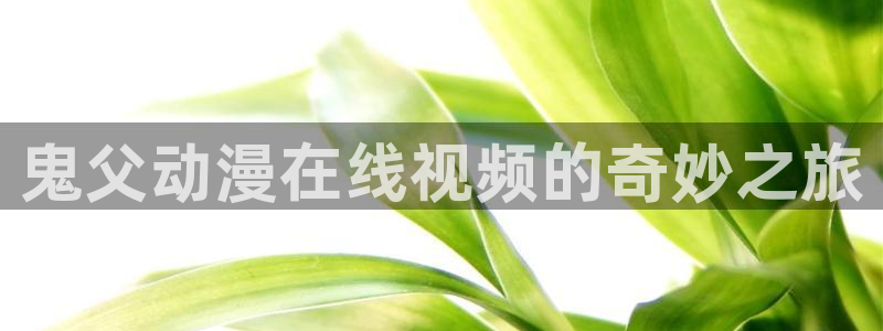 动漫天堂从哪下载安装