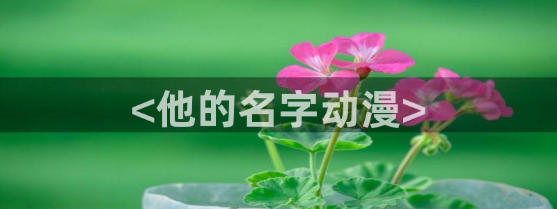 樱花动漫天堂