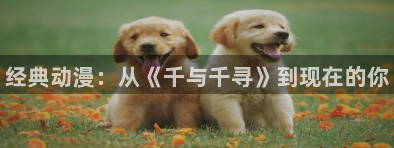 jk动漫天堂