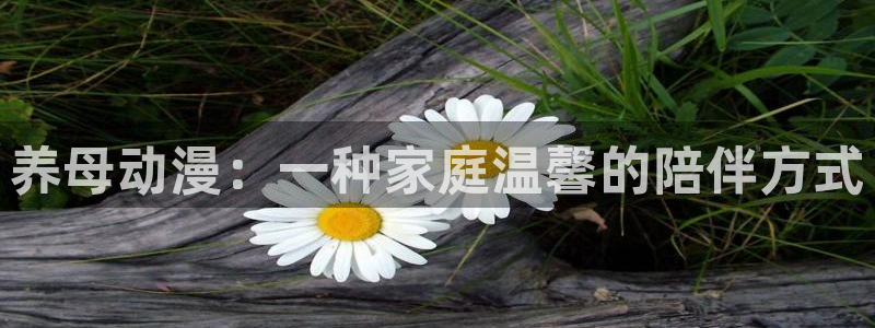 cos动漫天堂官网下载