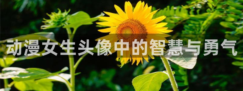 动漫天堂.