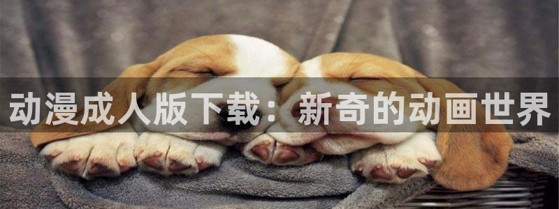动漫天堂在线观看