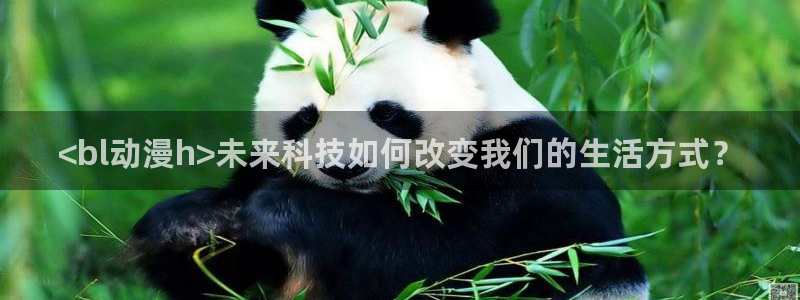 亚洲动漫天堂在线