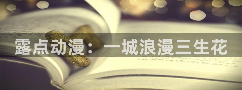 动漫天堂网