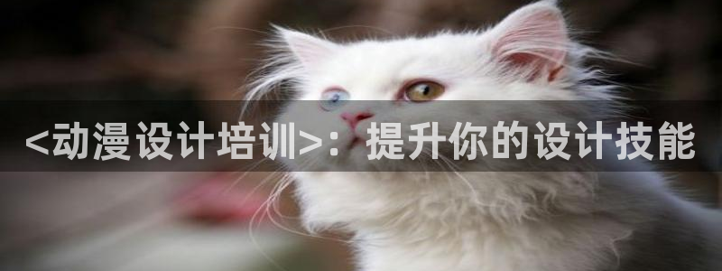 动漫天堂官方正版下载