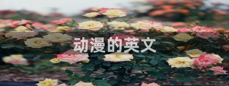 动漫天堂在线