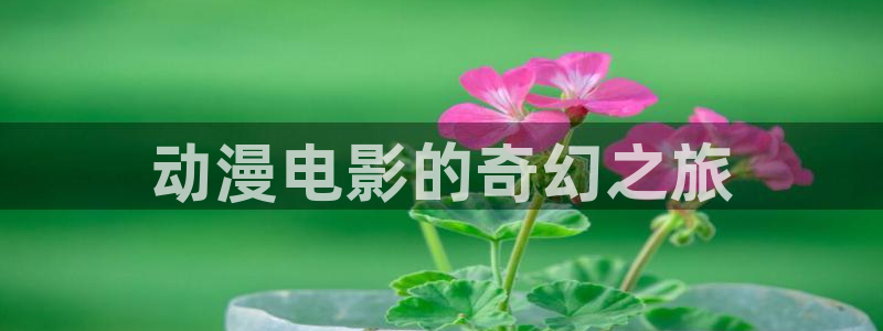 coco动漫天堂