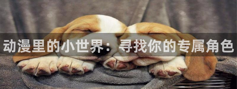 av动漫天堂网