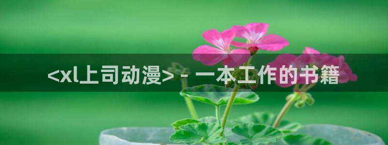 动漫天堂网址