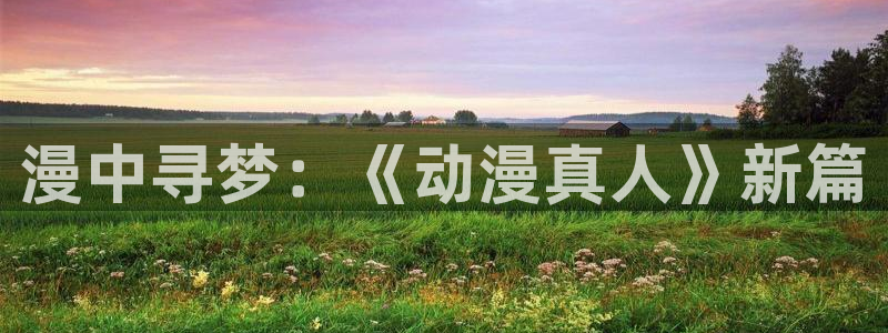 91动漫天堂